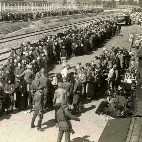 Proceso de llegada y selección de Judíos en Auschwitz.