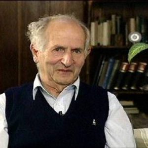 imagen del sobreviviente